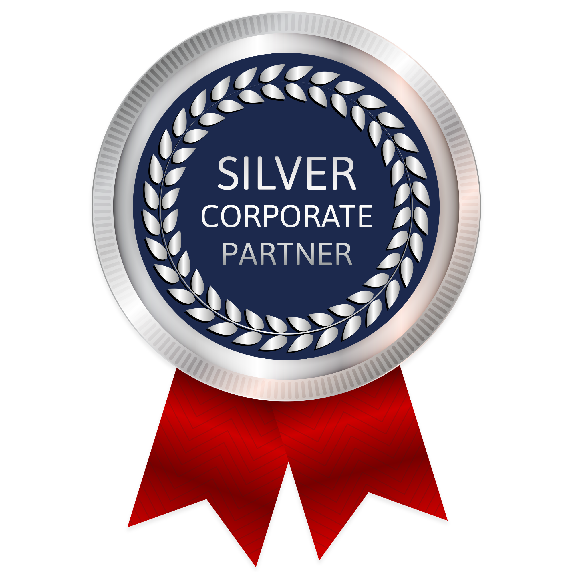 P.A.U.L For Brain Recovery Corporate Partner - Silver (Clear) P.A.U.L For Brain Recovery Silver Corporate Partner